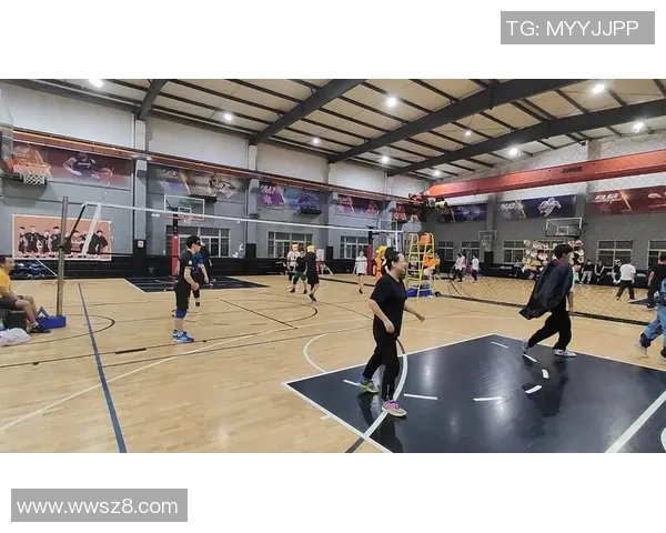 杭州排球队个人能力分析与整体表现评估