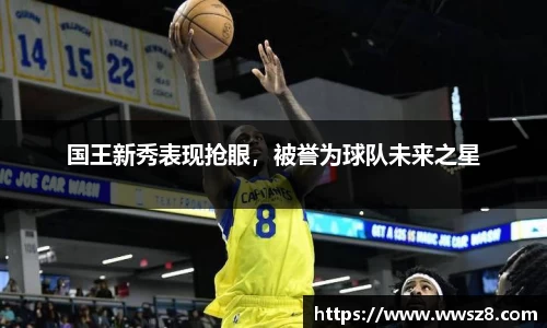 国王新秀表现抢眼，被誉为球队未来之星