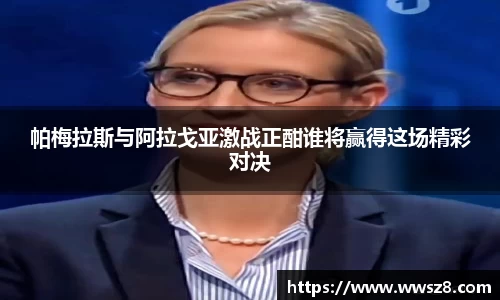 333体育官网