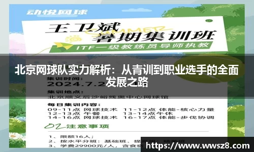 333体育官网